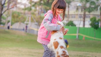 Animal Child Contact 332974
